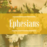 Bluntisham Baptist Church Sermons